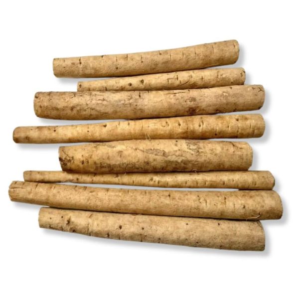 Burdock Root
