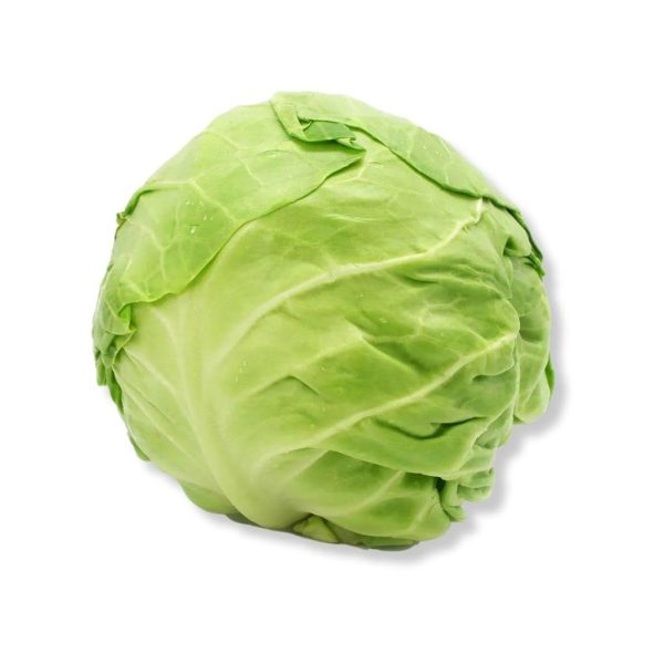 Cabbage