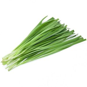 Chives