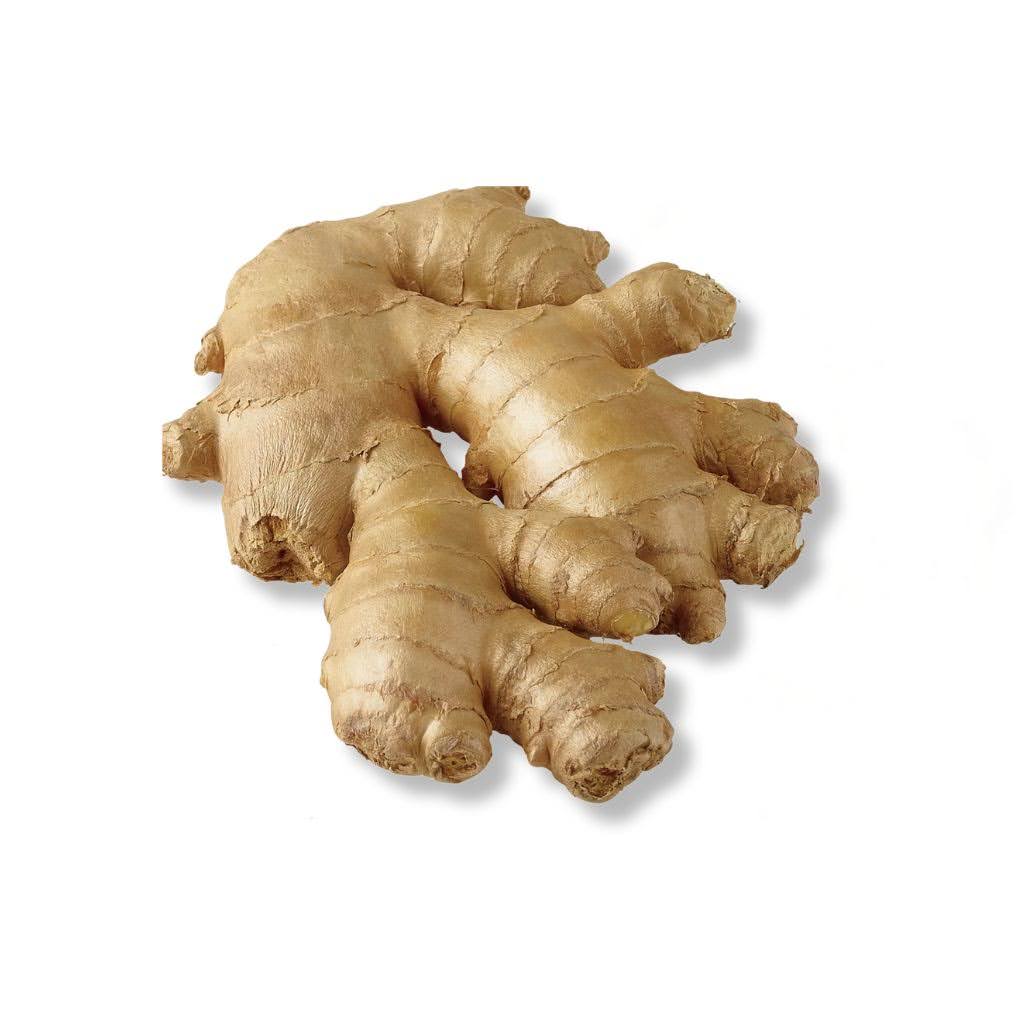 Ginger