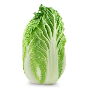 Napa Cabbage